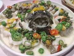 椒麻活龙胆-紫阳海鲜楼·传承闽味(长乐路总店)