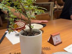 -CURRY YA 熟成咖哩專門店(深圳湾万象城店)