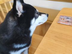 -柴の食堂·日式家庭料理·熊之肆(大学路店)