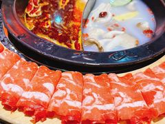 -蜀大侠火锅(森兰花园城店)