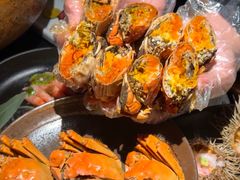 -花潮料理艺食馆(SM新生活广场店)