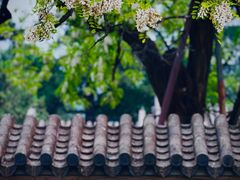 -国家植物园