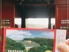 -普陀山风景区-佛顶山