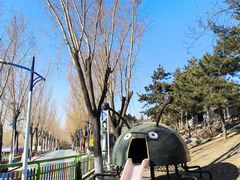 -青龙湖公园