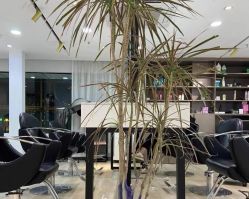 -新晨·SALON·形象造型