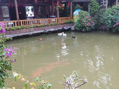 -观澜山水田园