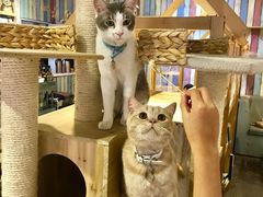 -小时光咖啡馆(开森度假森林店)