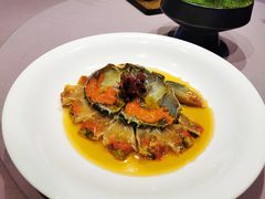 -子福慧(虹桥店)