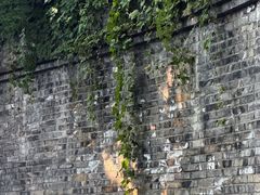 -静安公园(静安寺街道)