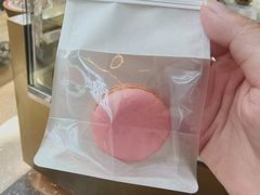 -视博茶点(美狮美高梅店)