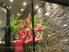 -茶理宜世(花城汇中区店)