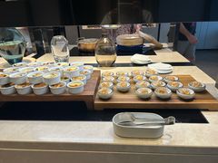 -新加坡乌节希尔顿酒店 (SG Clean)