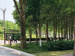 -郑州植物园