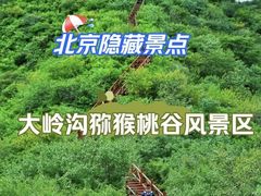 -大岭沟猕猴桃谷风景区