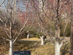 -元大都城垣遗址公园