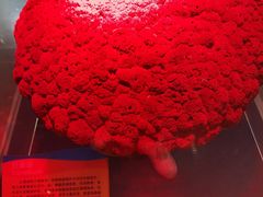 -西安曲江海洋极地公园