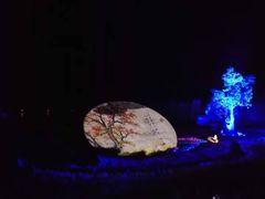 -婺源梦里老家大型山水实景演出