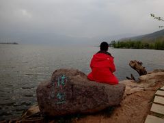 android_upload_pic-西昌邛海湿地