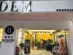 -DEM缔怡美科技美容