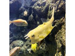 -福州罗源湾海洋世界旅游区