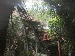 -呀路古热带植物园