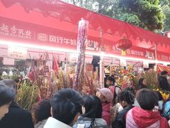 -越秀西湖花市(广州城市广场花卉店)
