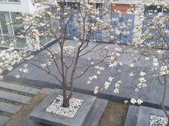 -俏湘私房菜(国贸店)