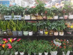 -大润发(张江店)