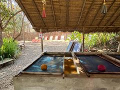 -大象粑粑造纸公园