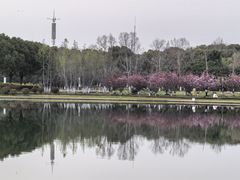 -水月周庄铂尔曼酒店-水月荟中餐厅