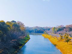 -上海海湾国家森林公园