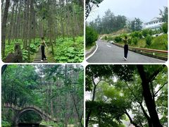 -洛阳白云山景区