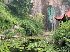 -莫干山风景区