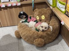 -FAELING PETS美天灵宠物(富力广场店)