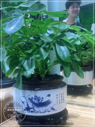 -Nice奈斯形象定制沙龙