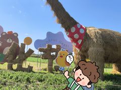 -嘉北郊野公园