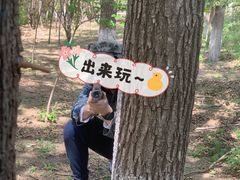 -亲兄弟真人CS团建拓展基地