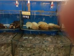 -渔中舟海鲜大排档(普陀沈家门店)
