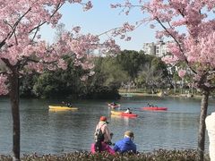 -新江湾城公园