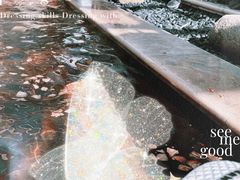-苏州湾·王焰温泉