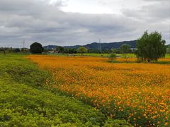 -良渚古城遗址公园