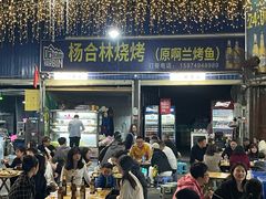 -杨合林啊兰烤鱼