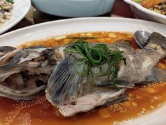 清蒸鱼-金华安大酒楼·老牌潮菜·粤式茶点(东方国际店)