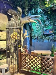 -酷嗒动物文化乐园(cutezoo西溪乐天城店)