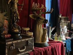 -雪灵魔法世界SHELLY’S TAROT(大良桂畔里店)