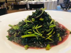 -九福楼大酒店