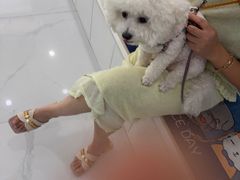 -纳吉亚猫专科动物诊疗中心(蒋宅口分院)
