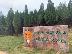 -伏羲山旅游区