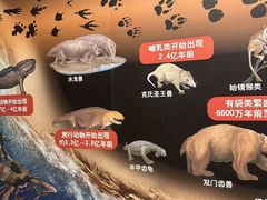 -天津自然博物馆