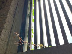 -十里红妆博物馆